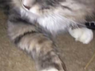 Sexy farts